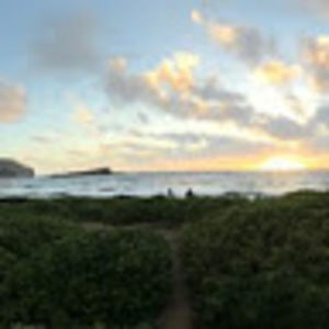 Meet your Posher, Benjamin